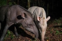 Legado das Águas | Foto: Luciano Candisani