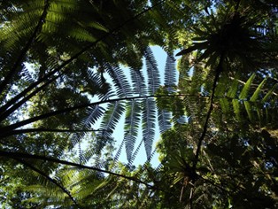 Legado das Águas | Foto: Luciano Candisani