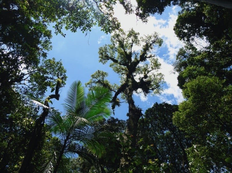 Imagem17_Andrei Pires