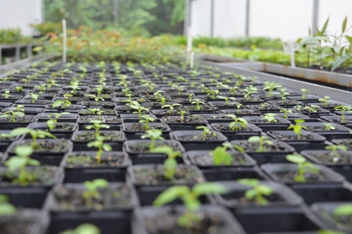 Imagem22_Kamilla Lopes