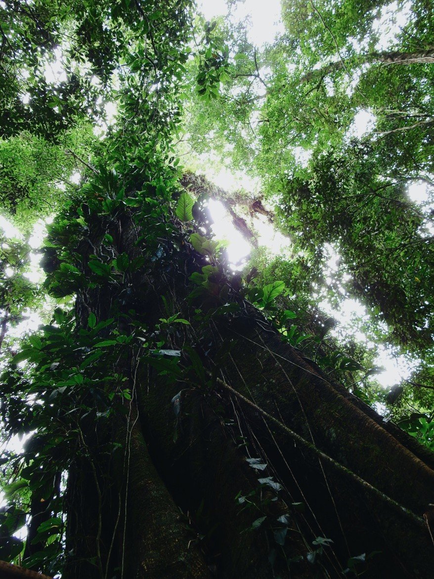 Imagem43_Andrei Pires