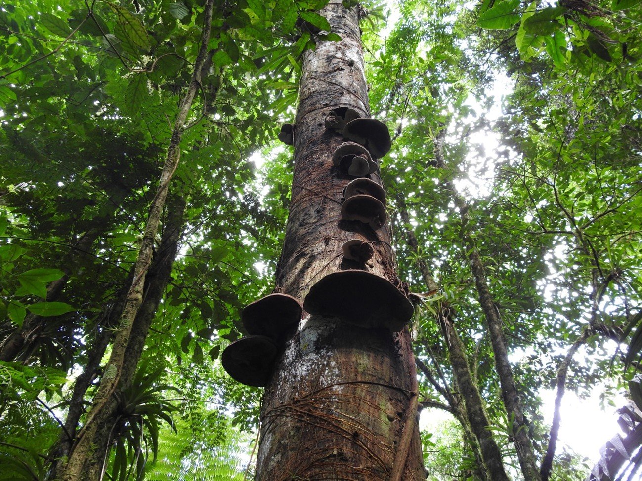 Imagem44_Andrei Pires