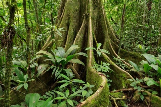 Imagem45_Andrei Pires