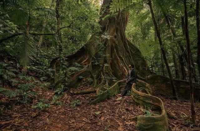 Imagem46_Andrei Pires