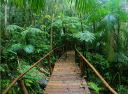 Imagem49_Andrei Pires