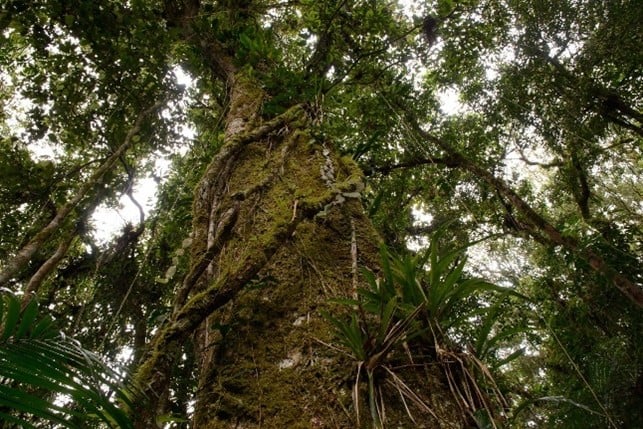 Imagem15_Luciano Candisani