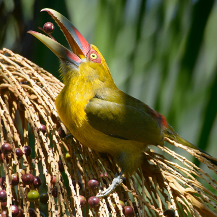 Legado das Águas | Fotos: Luciano Candisani