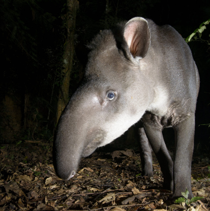 Legado das Águas | Fotos: Luciano Candisani