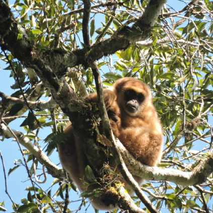 Legado das Águas | Fotos: Miguel Flores