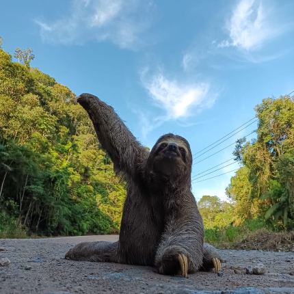Legado das Águas | Fotos: Larissa Vieira