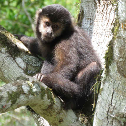 imagem29_André Mariano