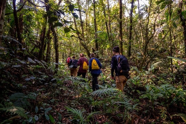 Expedição Onçafari | Foto: Gregory Fenile