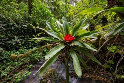 Imagem18_Luciano Candisani