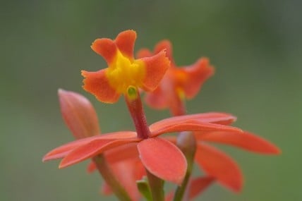 Imagem20_Luciano Candisani