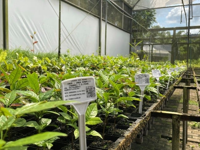 Centro de Biodiversidade da Mata Atlântica | Fotos Laila Rebecca