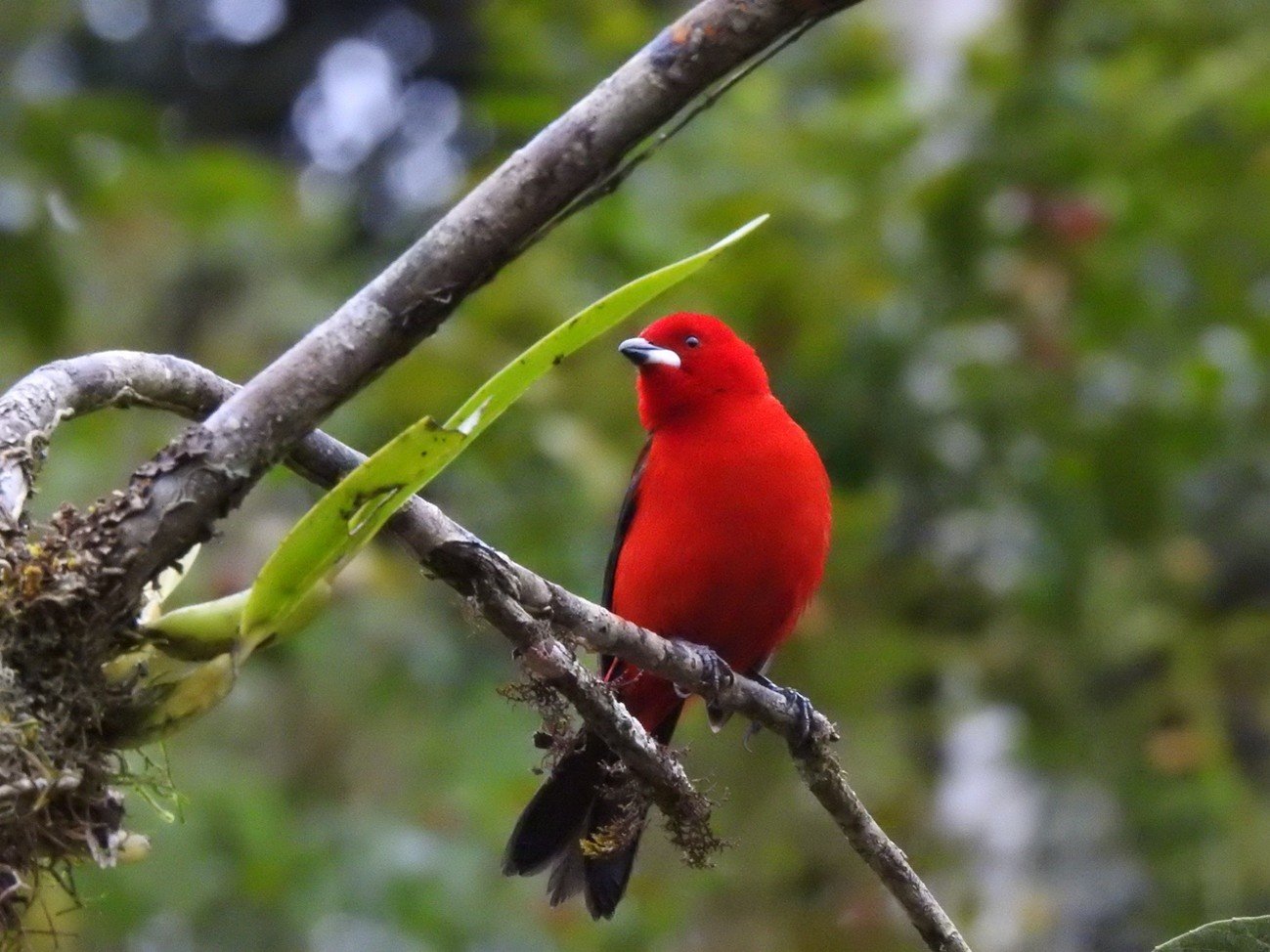 Imagem16_Miguel Flores