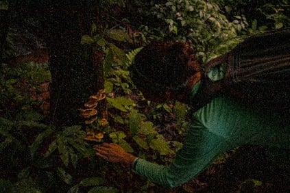 Imagem12_Andrei Pires