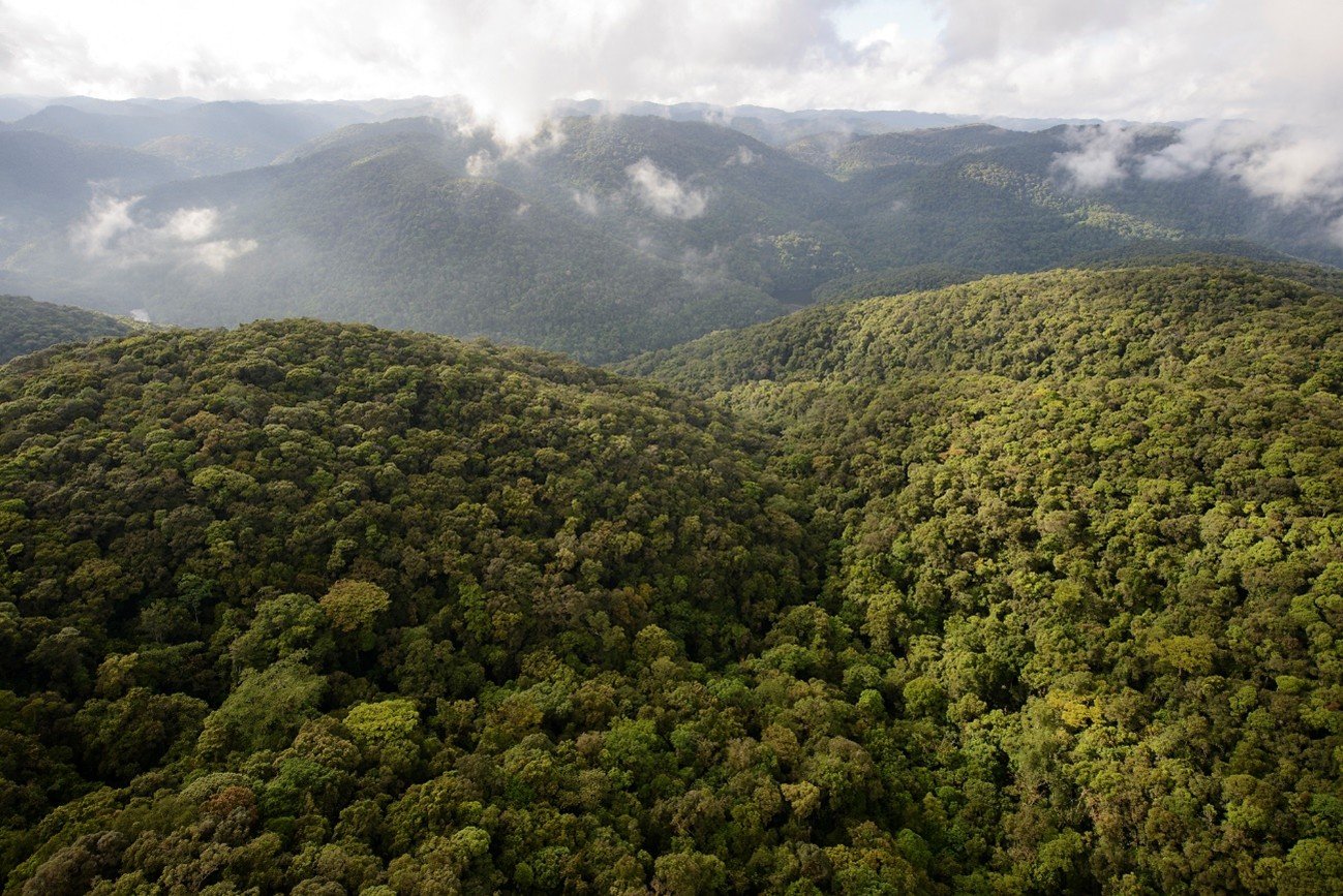 Imagem14_Luciano Candisani