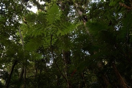 Imagem16_Luciano Candisani