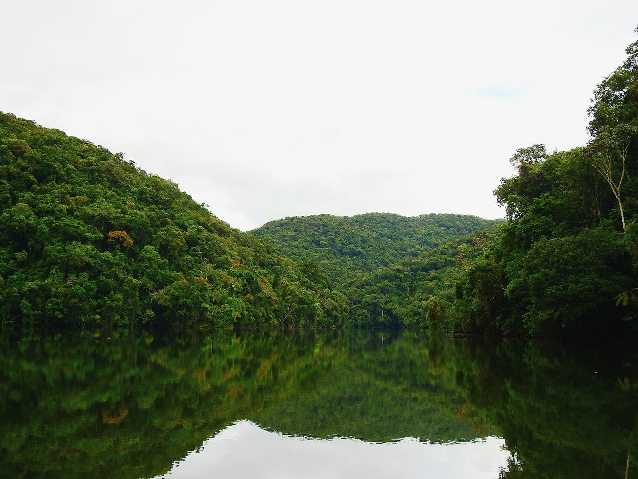 Imagem17_Andrei Pires