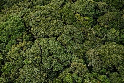 Imagem17_Luciano Candisani