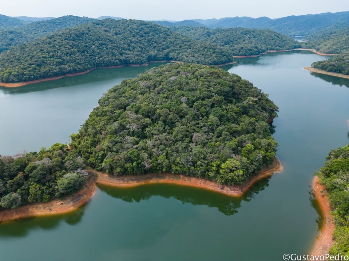 Imagem23_Gustavo Pedro