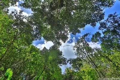 Imagem24_Gustavo Pedro