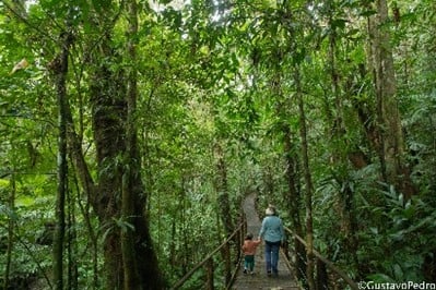 Imagem25_Gustavo Pedro