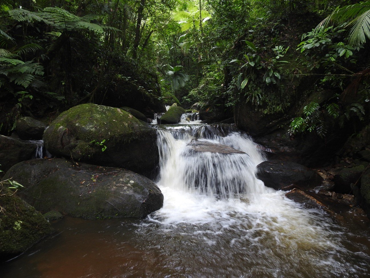 Imagem34_Andrei Pires