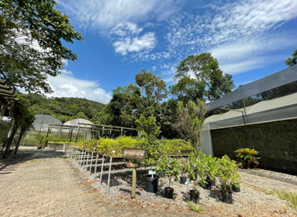 Imagem37_Laila Rebecca