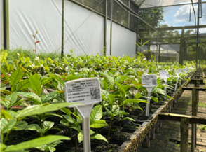 Imagem38_Laila Rebecca