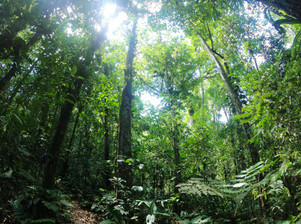 Imagem39_Andrei Pires