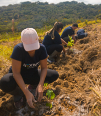 Imagem8_Andrei Pires